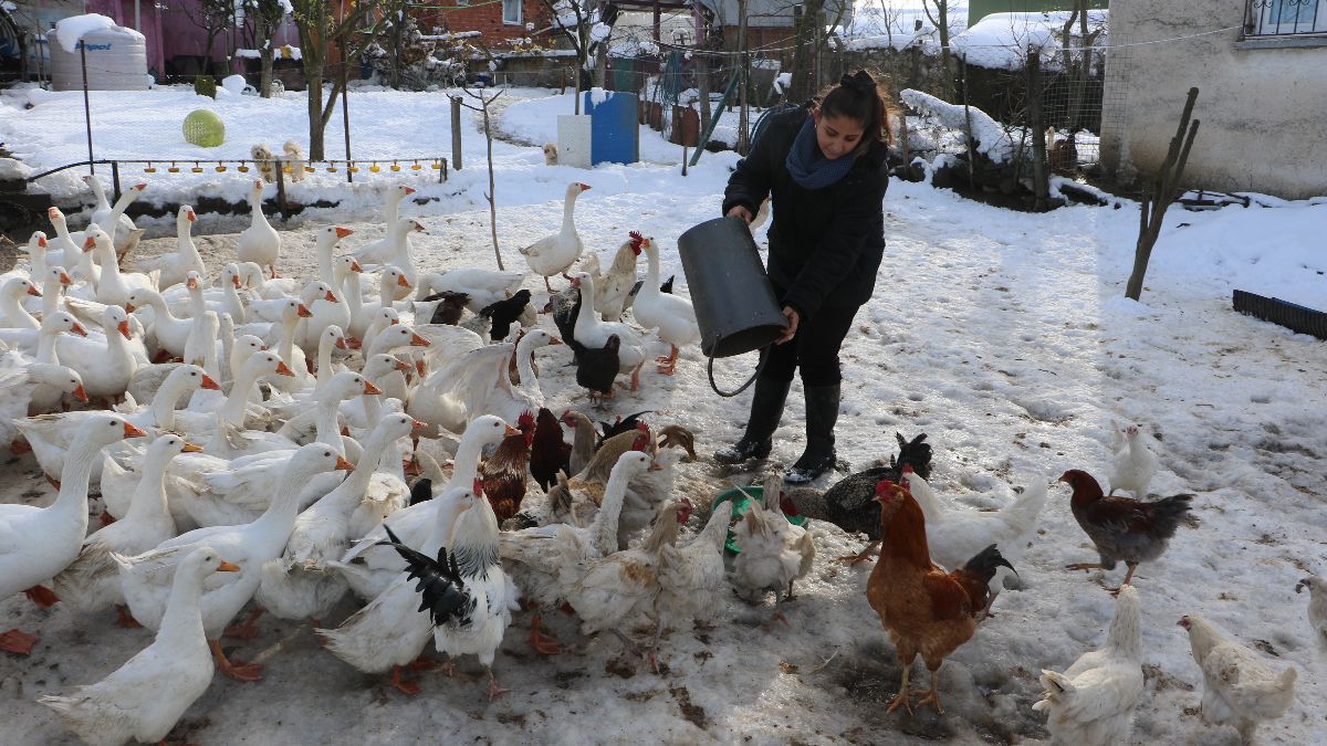 Samsun’da hayalleri için köye yerleşti
