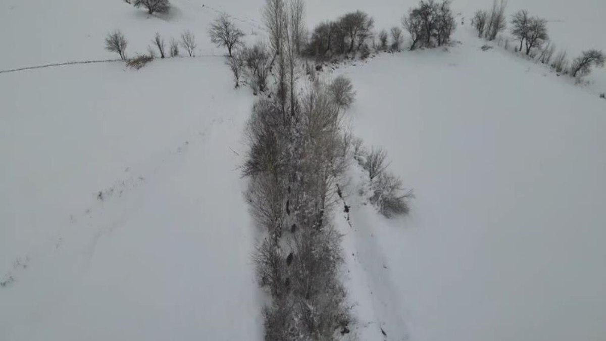 Erzincan'da koyun otlatan çobana domuz sürprizi