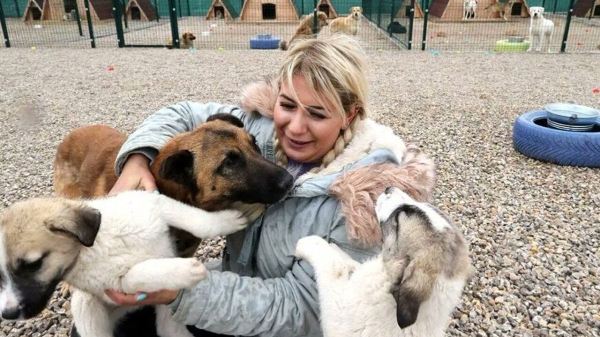 Köpek velisi Buket Özgünlü ve 2 kişi tutuklandı