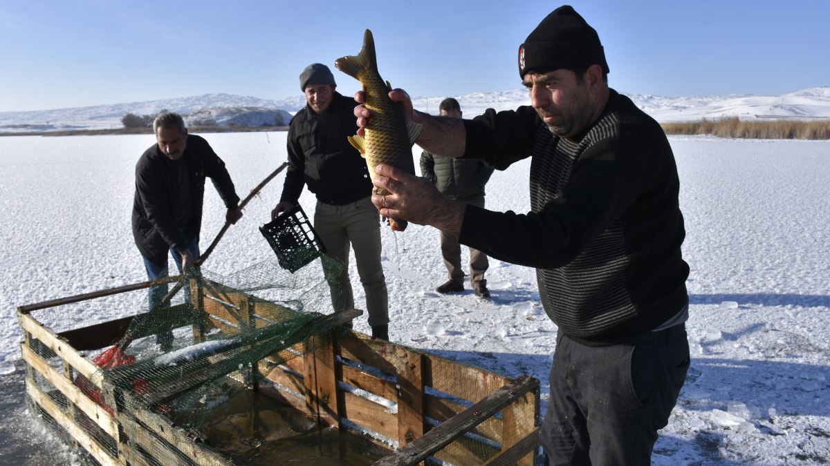 Sivas'ta buz tutan göllerde 'Eskimo' usulü balık avı