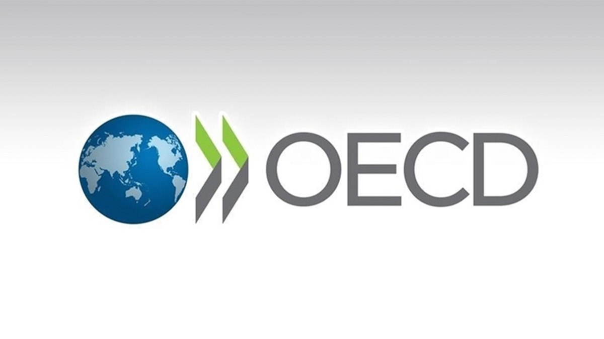 OECD: Türkiye ekonomisinin 2024'te yüzde 3,5 büyümesi bekleniyor