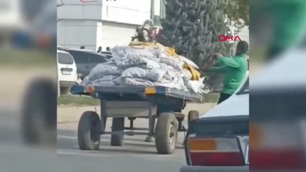 Şanlıurfa'da yük taşıyan ata eziyet anları tepki çekti