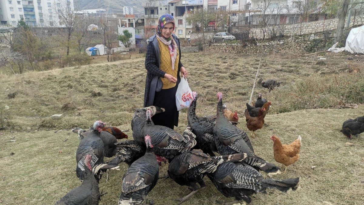 Batman'da sokak köpekleri dehşet saçtı