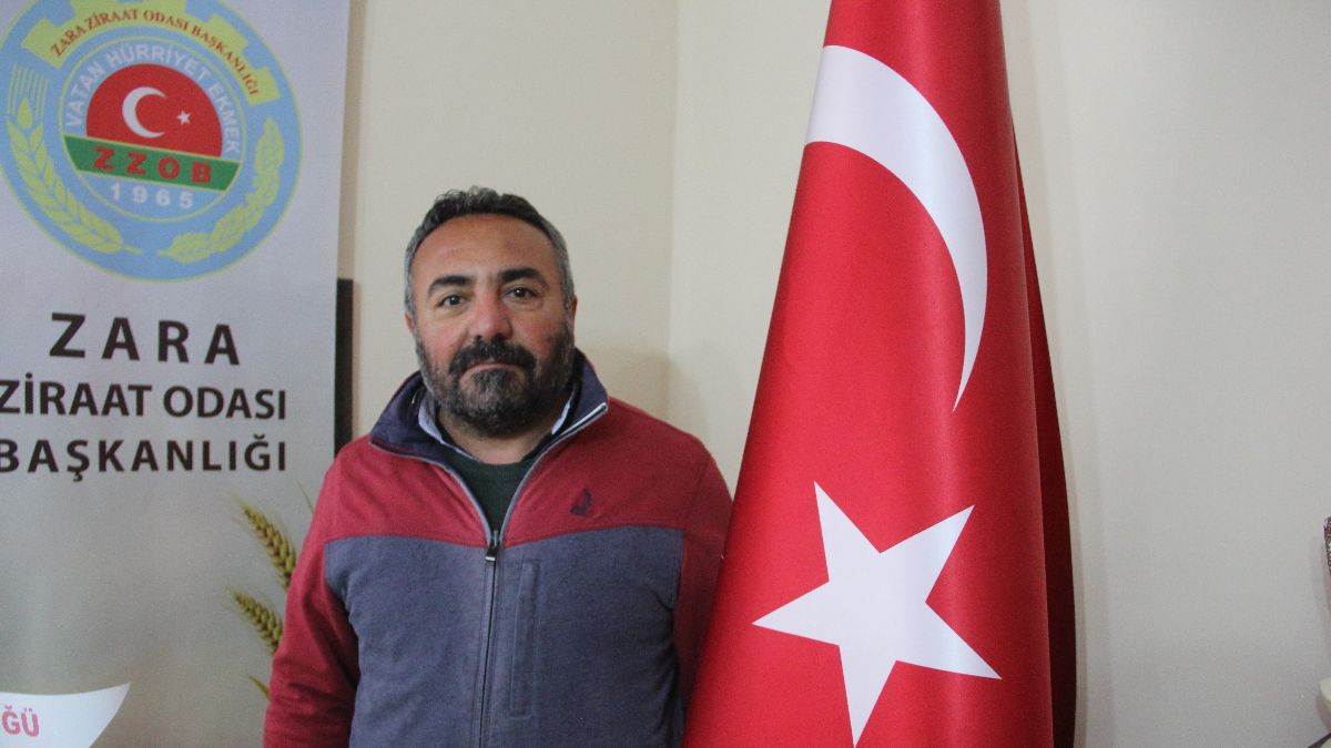 Sivas'ta muhtarı öldüren ayı telef edildi