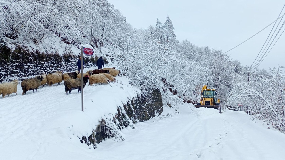 Doğu Karadeniz’de 123 köye ulaşım sağlanamıyor