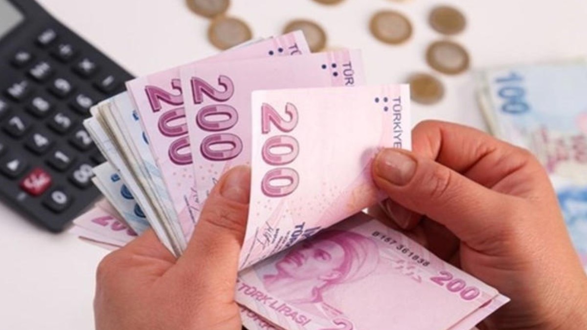 Kadınlara özel devlet desteği: Başvurana 12 bin lira verilecek