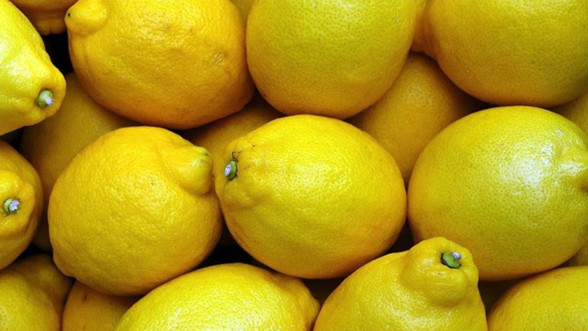 2024'te üretici ve market arasındaki fiyat farkında limon zirvede