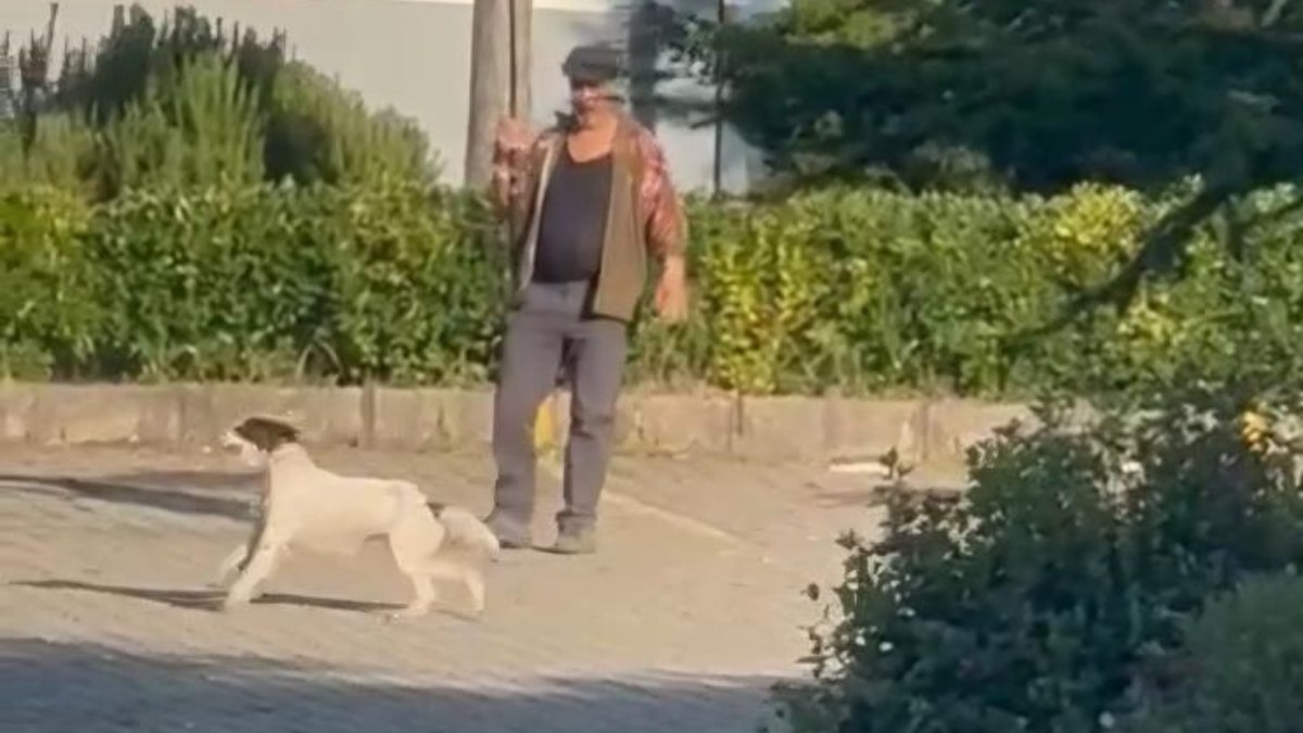 Bartın'da oltaya bağladığı güvercinle köpeğini eğitti