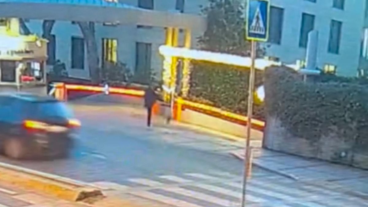 İstanbul'da kediyi tekme atarak yaralayan şahıs aranıyor