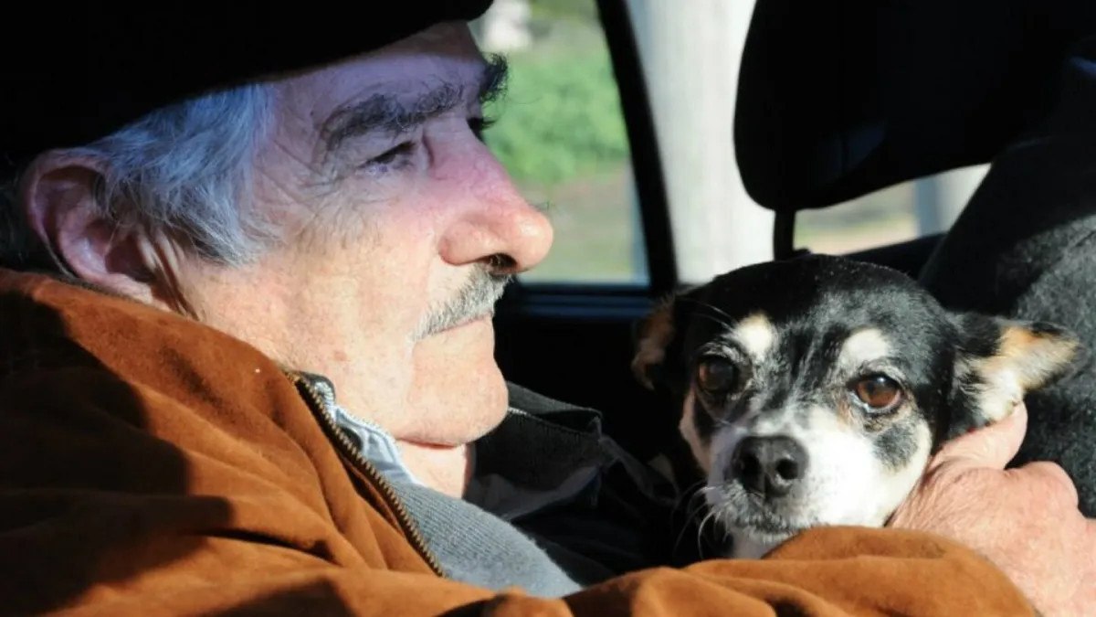 Uruguay eski başkanı Jose Mujica kanser tedavisini reddetti: Köpeğimin yanına gömülmek istiyorum