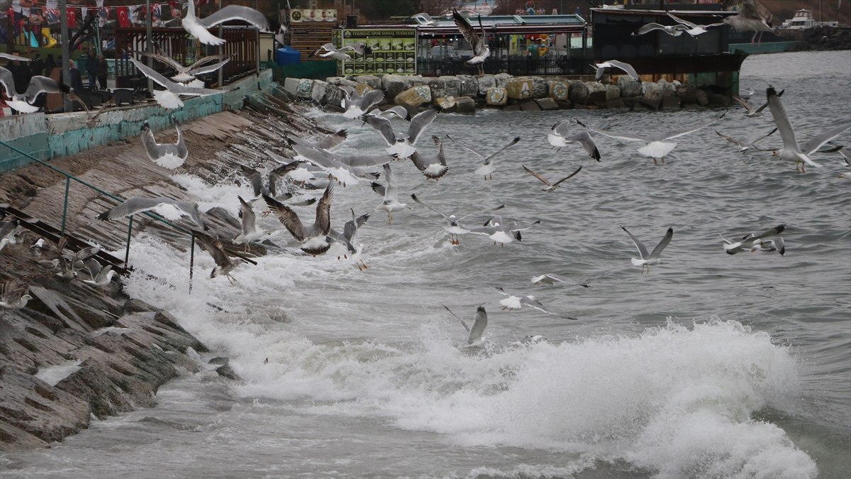 Tekirdağ'da şiddetli poyraz, deniz ulaşımına izin vermiyor