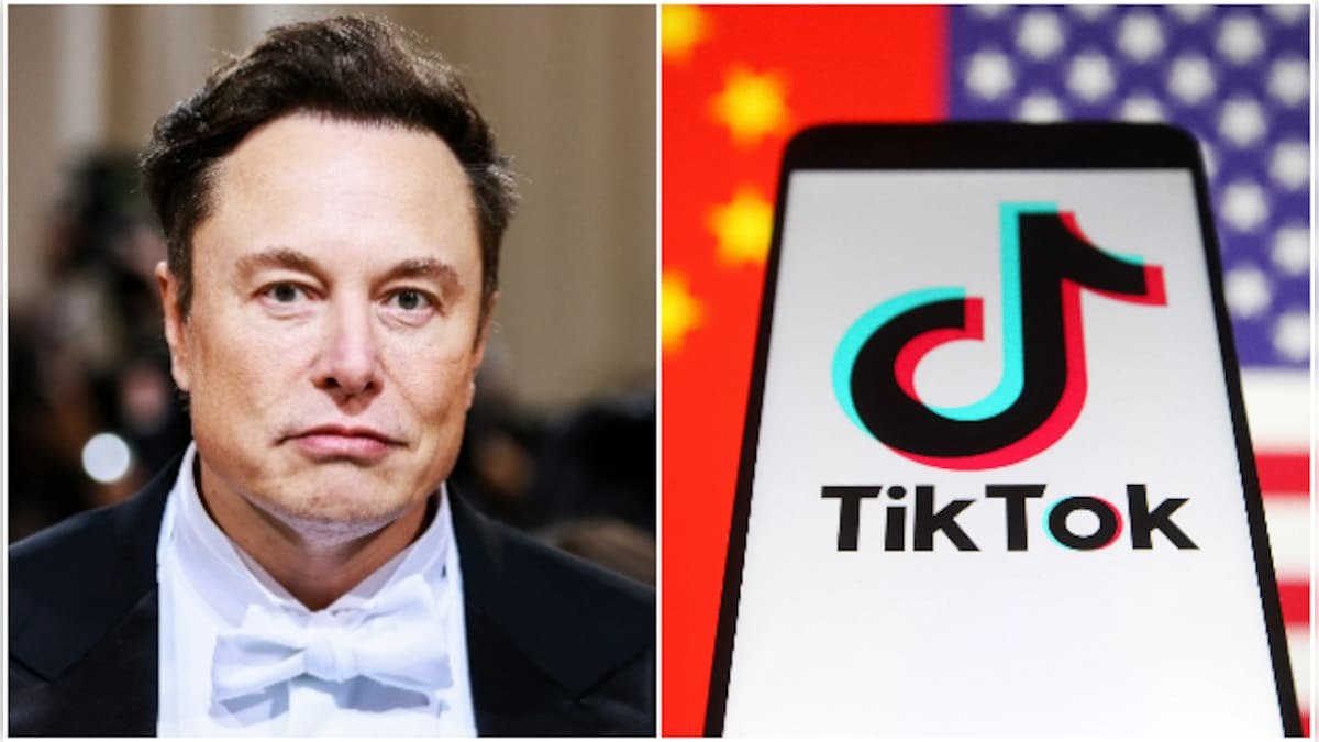 Elon Musk, TikTok'un ABD'deki şirketini satın alabilir