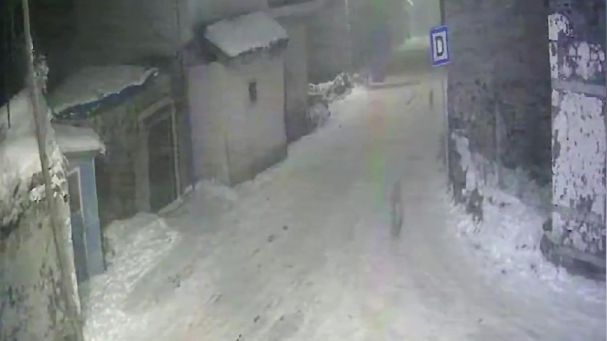 Erzurum'da aç kalan kurtlar köylere indi