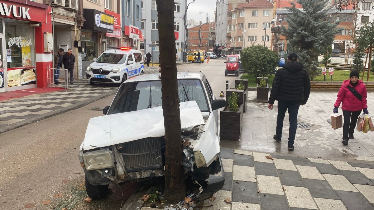 Bolu'da yola çıkan köpeğe çarpmamak için ani manevra yapan sürücü kaza yaptı