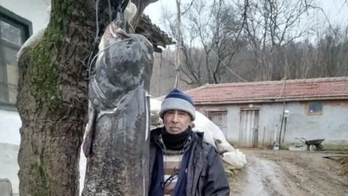 Edirne'de iki buçuk metre boyunda yayın balığı yakaladı