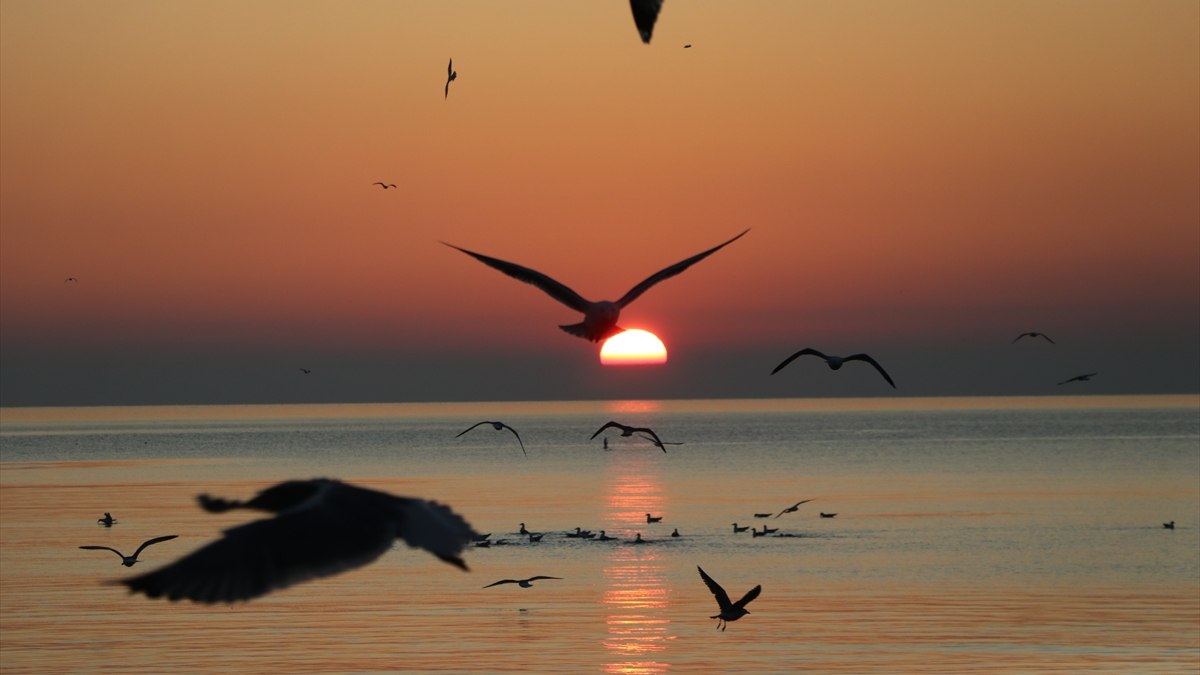 Tekirdağ'da gün doğumu izleyenleri kendisine hayran bıraktı