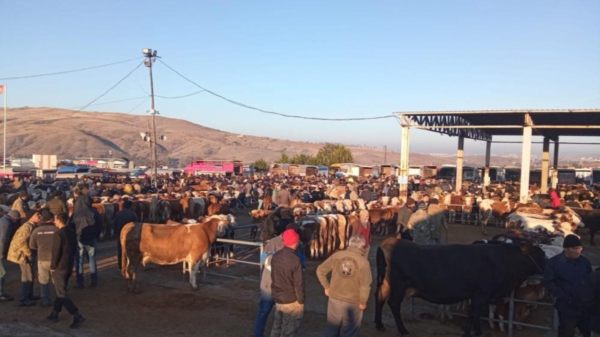 Yozgat'ta hayvan pazarları kapatıldı