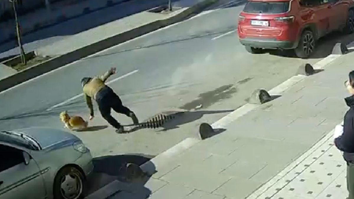 İstanbul'da kaçan köpeğini yakalamak isterken ölümden döndü