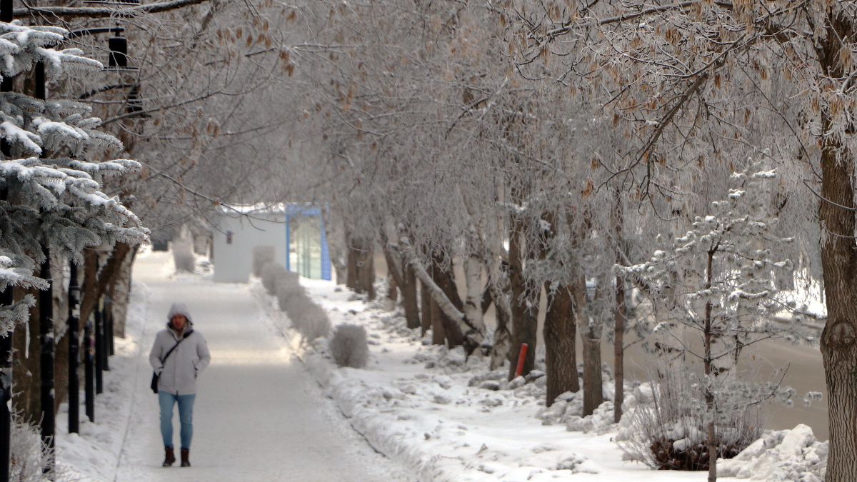 Erzurum'da soğuk hava etkili oluyor