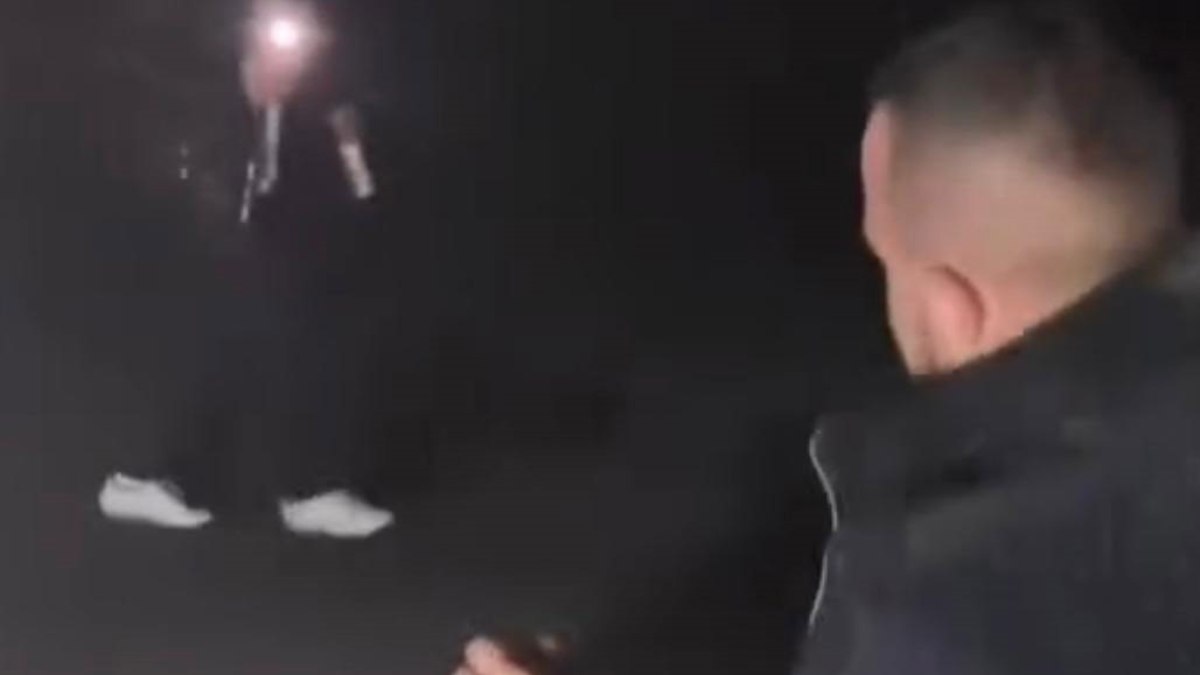 Sakarya'da domuza işkence eden alkollü şahıslar yakalandı