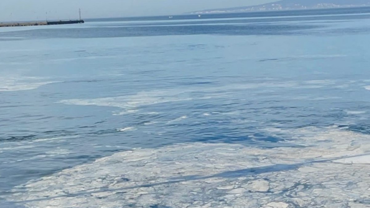 Marmara'da müsilaj geri döndü: Mudanya'da balıkçıların ağları zarar görüyor