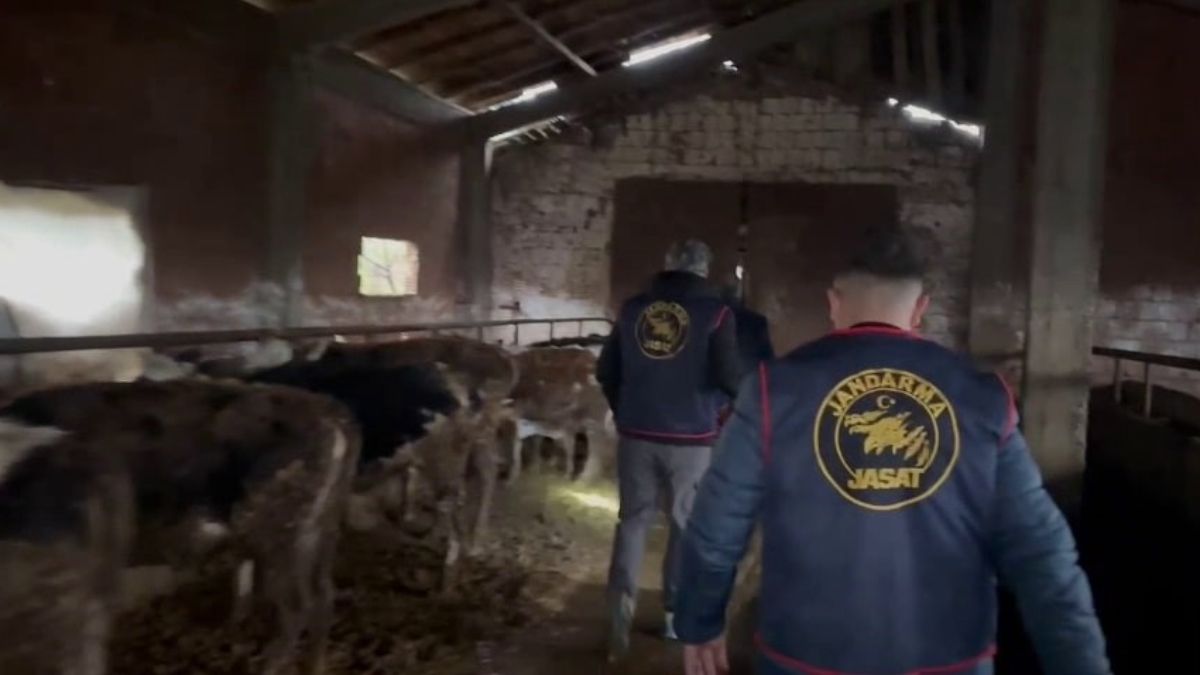 Sakarya’da hayvan hırsızlığı yapan çeteye operasyon: 7 kişi tutuklandı