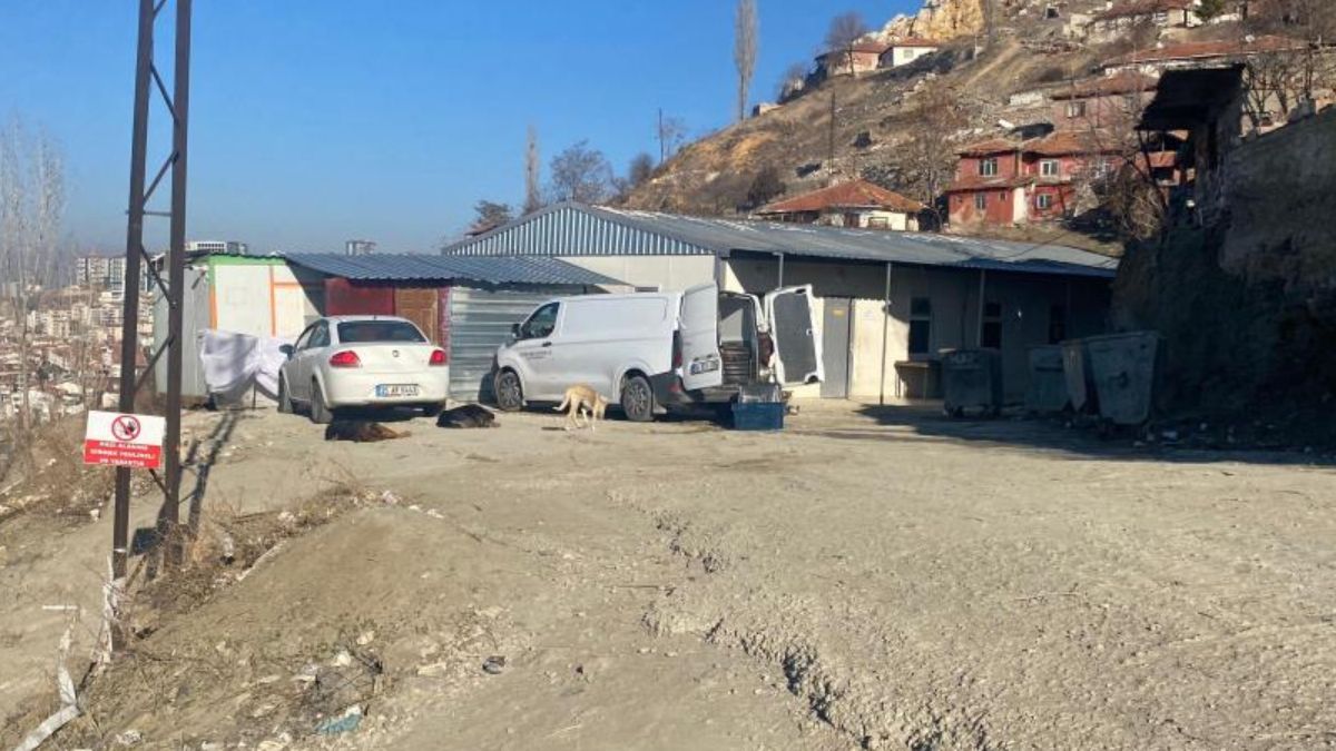 Ankara’da başıboş köpek sürüsünün saldırdığı kadın canını zor kurtardı