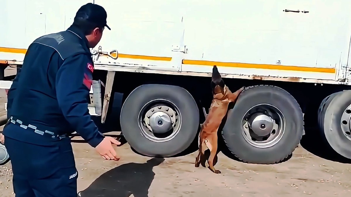 Kırıkkale'de 1 tonun üzerinde kaçak tütün ve yüzlerce paket sigara ele geçirildi