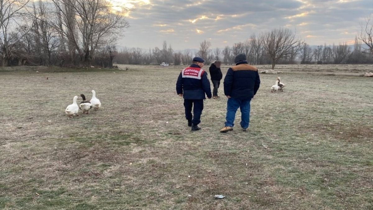 Çorum'da kaz dövüşü yaptıran 7 kişiye para cezası