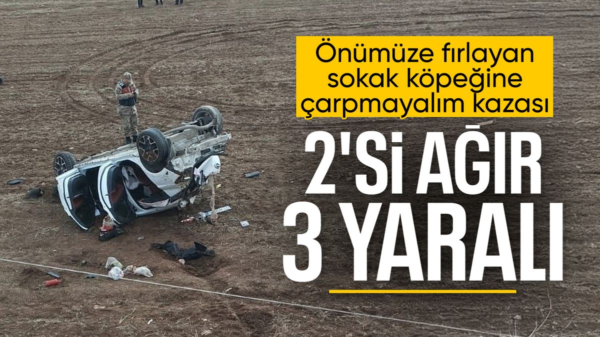 Siirt’te köpeğe çarpmamak için manevra yaptı: 1 kişi hayatını kaybetti