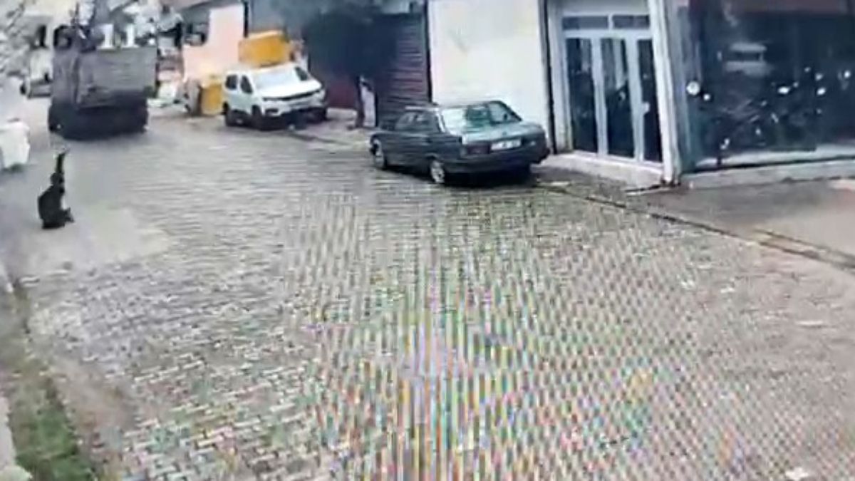 Aydın’da kamyonetin elektrik telini kopartması sonucu akıma kapıldı