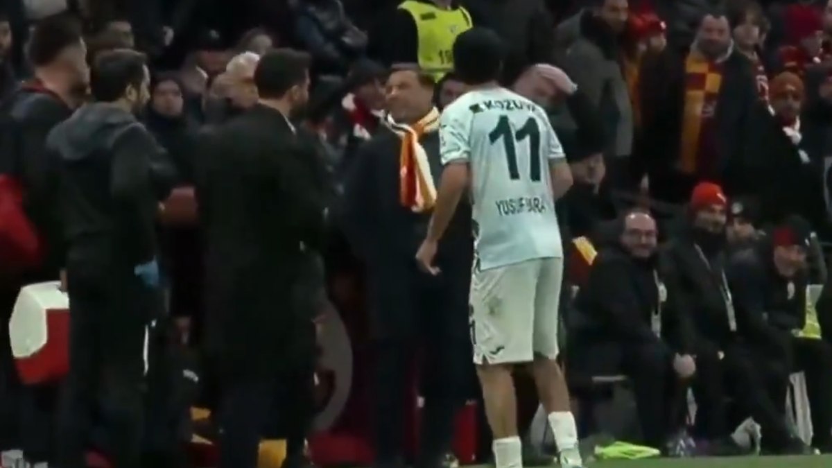 Fenerbahçeliler, 