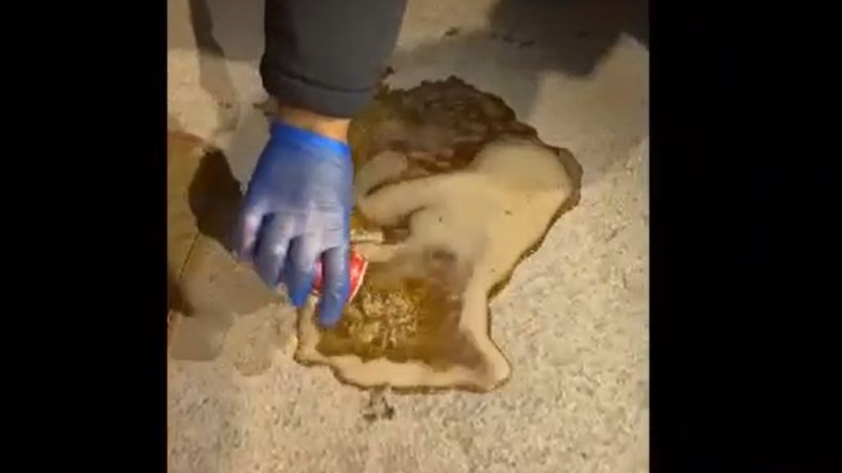 Afyonkarahisar'da polis doğalgaz kombisi ve kolanın içinde uyuşturucu buldu