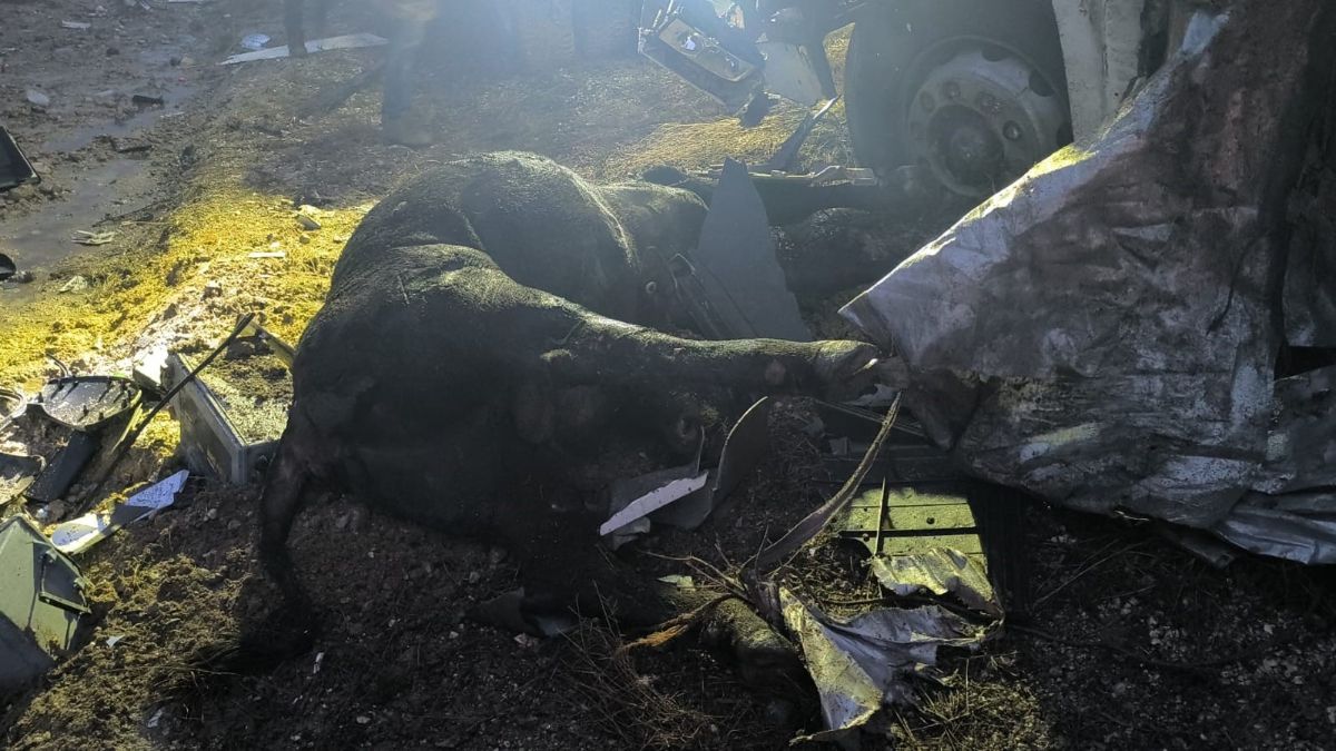 Ankara'da hayvan yüklü tır devrildi: 1 ölü