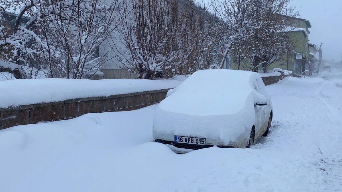 Bingöl'de kar hayatı olumsuz etkiledi