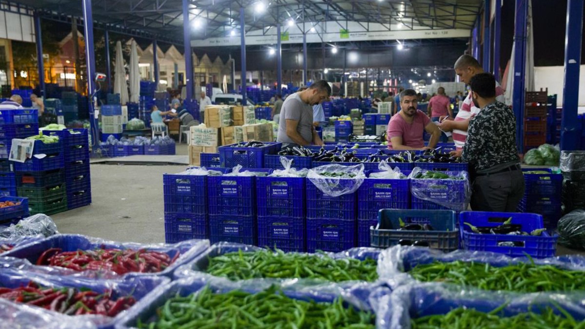 Antalya halinde domatesin fiyatı düştü, sebze ve meyve zamlandı