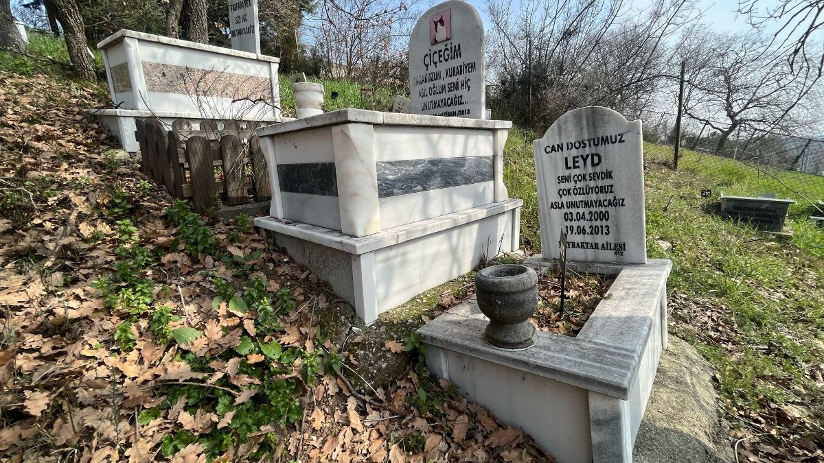 Bursa’da evcil hayvanlar için 2 bin 500 liraya özel mezar yeri