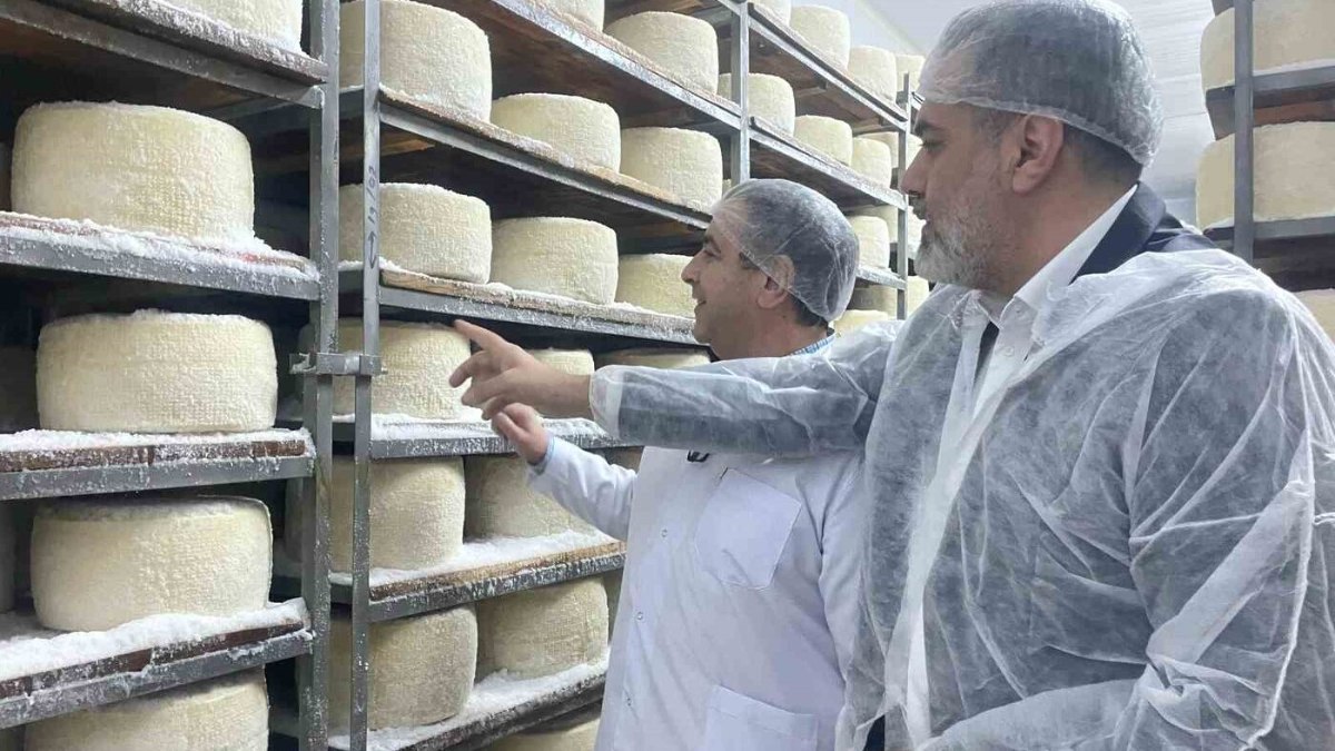 Çadırda Başladı; Şimdi Fabrikası Var! Bakın Ne Üretiyor...