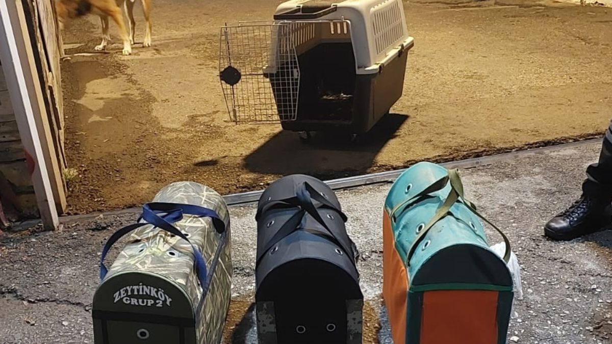 Antalya’da horoz dövüştürenlere 41 bin TL para cezası