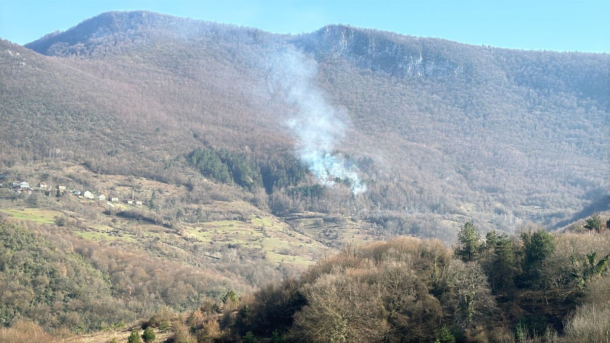 Karabük’te ormanlık alanda örtü yangını çıktı