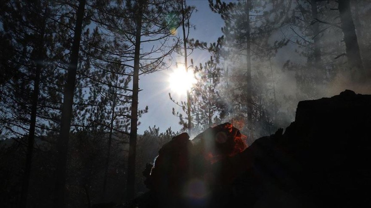 Kastamonu'da çıkan anız ve örtü yangınında son durum