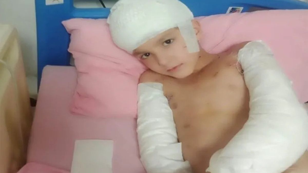 Köpeklerin saldırdığı Tunahan Yılmaz davasında mütalaa açıklandı