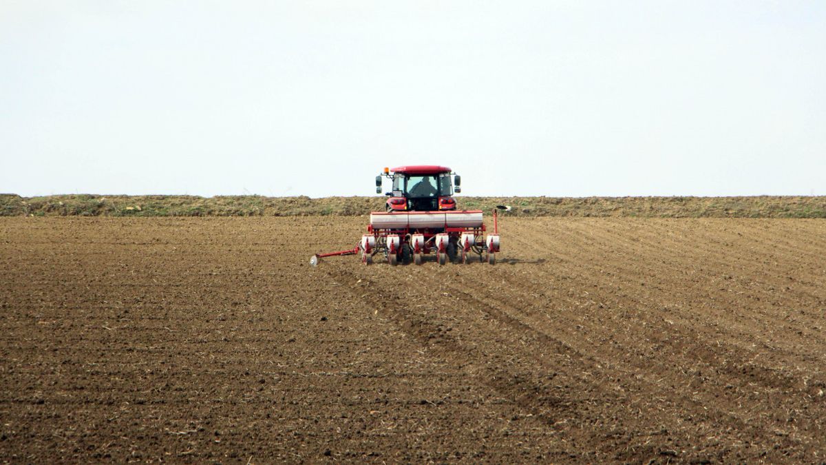 Edirne'de kuraklık korkusu ayçiçeği ekimini erken başlattı