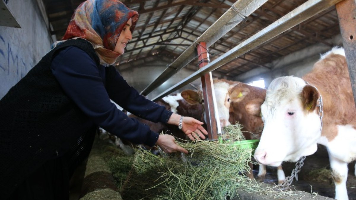 Bitlis'te kadın üretici hayvan sayısını 2 yılda 6'ya çıkardı