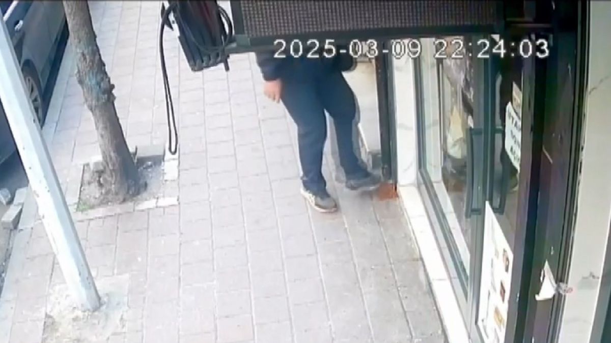 İstanbul'da sokak kedileri için koyulan mamayı tekmeleyerek dağıttı