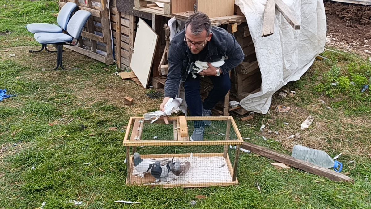 Antalya'da çalınan 95 güvercin, boş arazideki kümeste bulundu