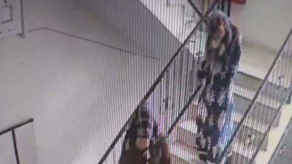 Adana'da apartmana giren hırsızlar kamerada