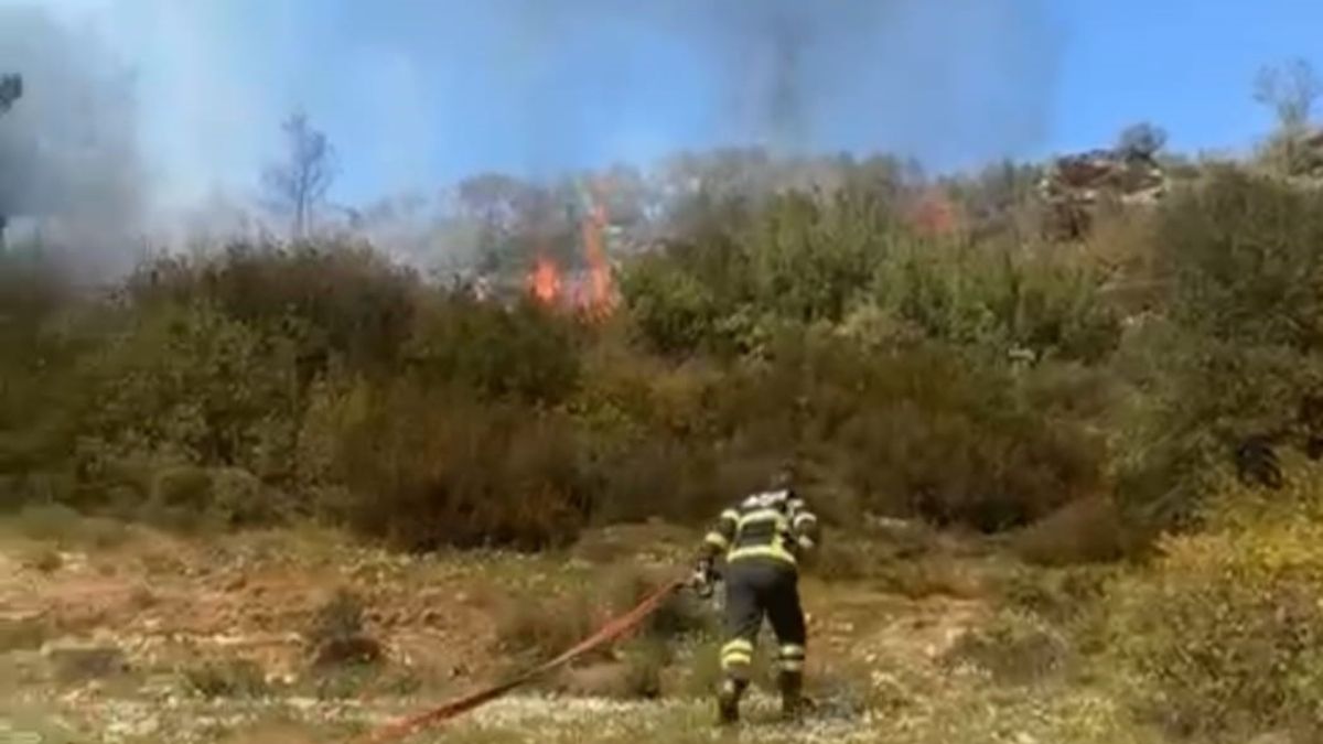 Muğla’da çalılık yangınında 500 metrekare alan zarar gördü
