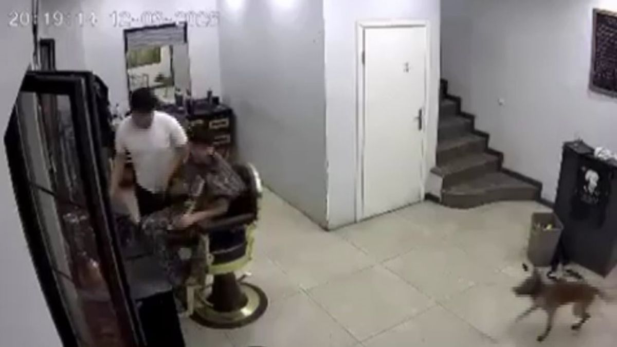 Kocaeli’de kuaföre sokulan köpek ortalığı birbirine kattı