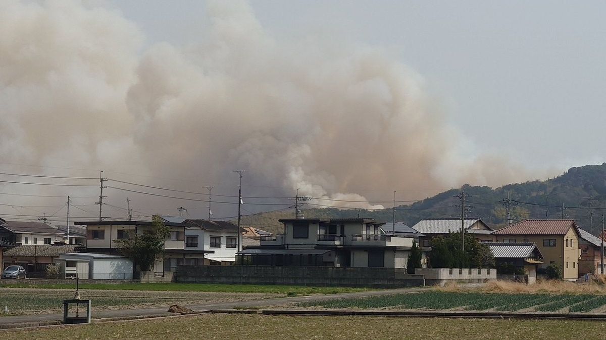 Japonya'da orman yangınları sürüyor